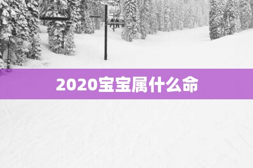 2025宝宝属什么命