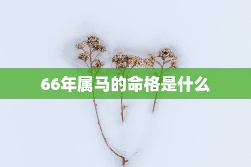 66年属马的命格是什么