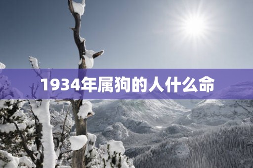 1934年属狗的人什么命