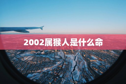 2002属猴人是什么命