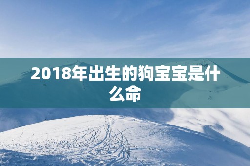 2018年出生的狗宝宝是什么命