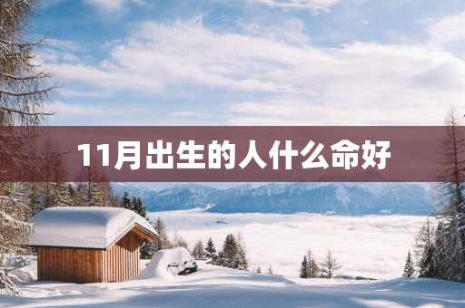 11月出生的人什么命好