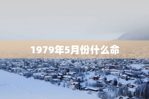 1979年5月份什么命