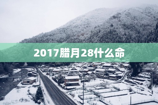 2017腊月28什么命