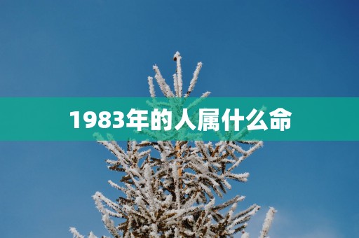 1983年的人属什么命