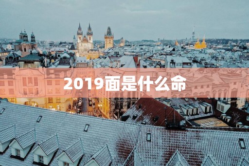 2019面是什么命