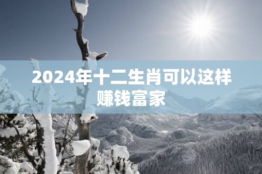 2025年十二生肖可以这样赚钱富家