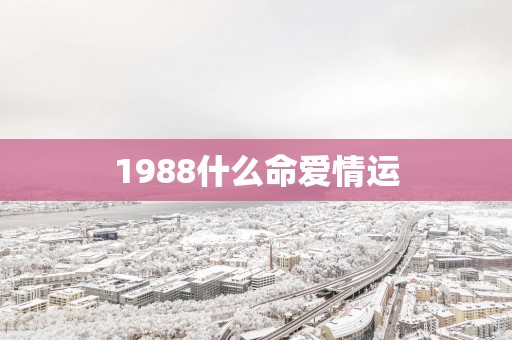 1988什么命爱情运 1988什么命爱情运
