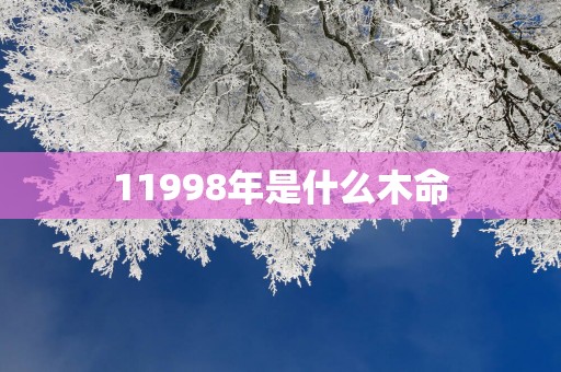 11998年是什么木命