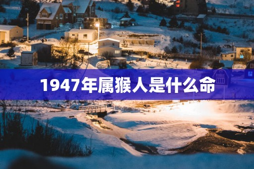 1947年属猴人是什么命