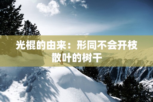 光棍的由来：形同不会开枝散叶的树干