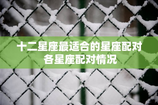 十二星座最适合的星座配对 各星座配对情况