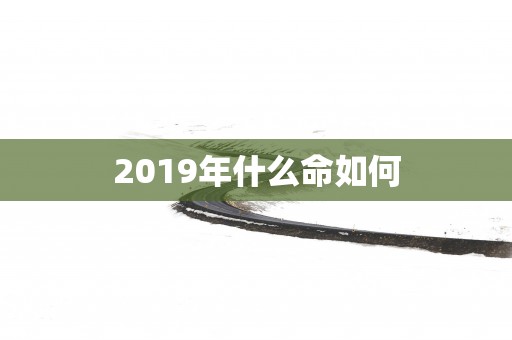 2019年什么命如何