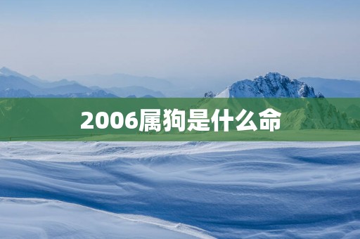2006属狗是什么命