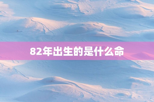 82年出生的是什么命