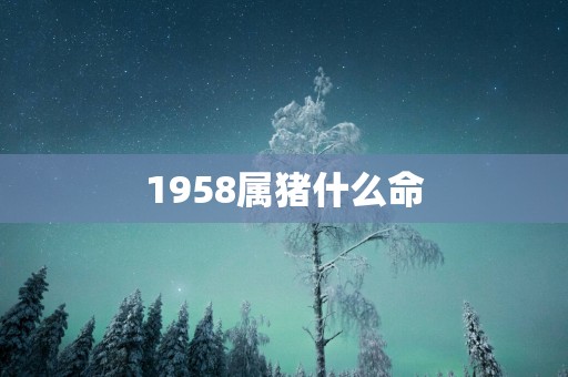 1958属猪什么命