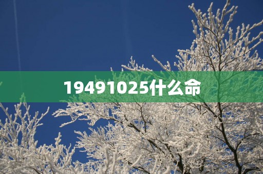 19491025什么命