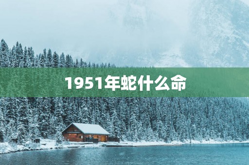 1951年蛇什么命 1951年蛇什么命