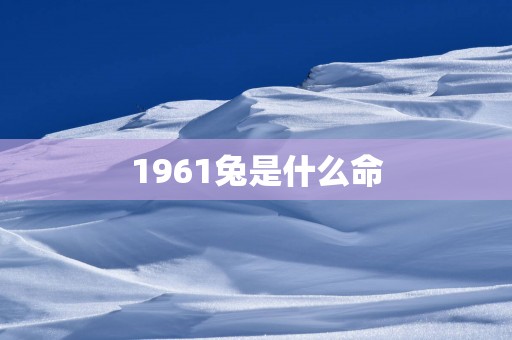 1961兔是什么命
