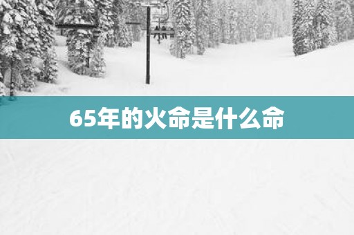 65年的火命是什么命