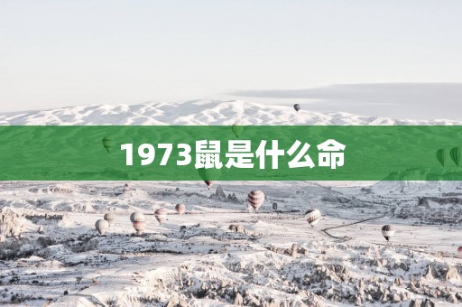 1973鼠是什么命