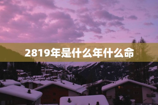 2819年是什么年什么命