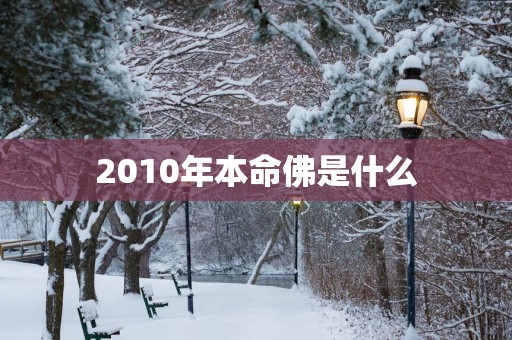 2010年本命佛是什么