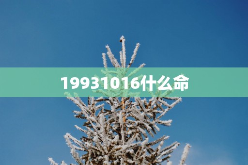 19931016什么命