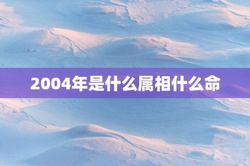 2004年是什么属相什么命