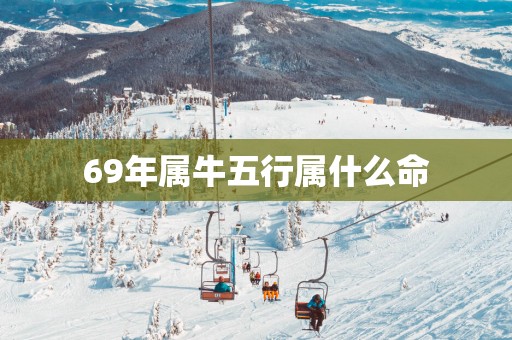 69年属牛五行属什么命