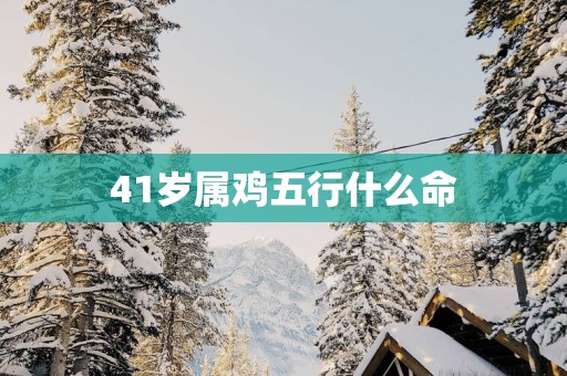 41岁属鸡五行什么命