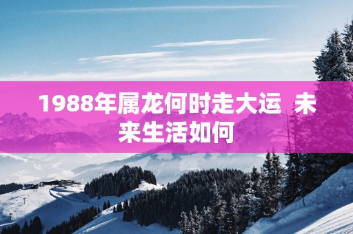 1988年属龙何时走大运  未来生活如何