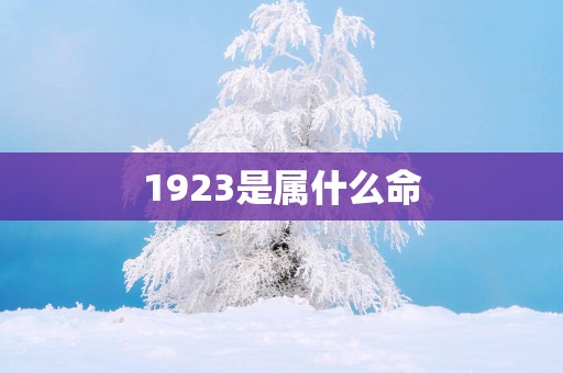 1923是属什么命