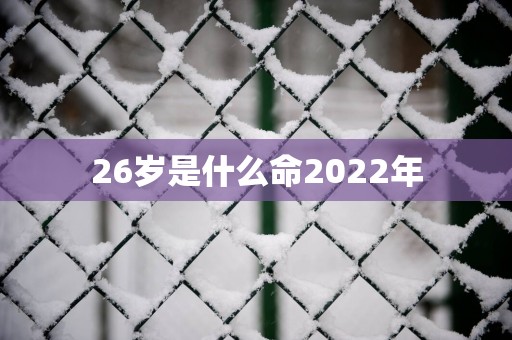 26岁是什么命2025年