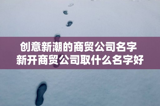 创意新潮的商贸公司名字 新开商贸公司取什么名字好
