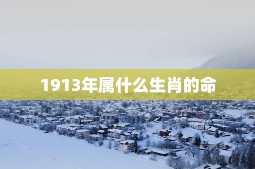 1913年属什么生肖的命