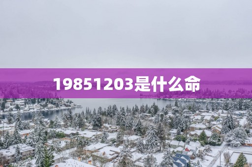 19851203是什么命