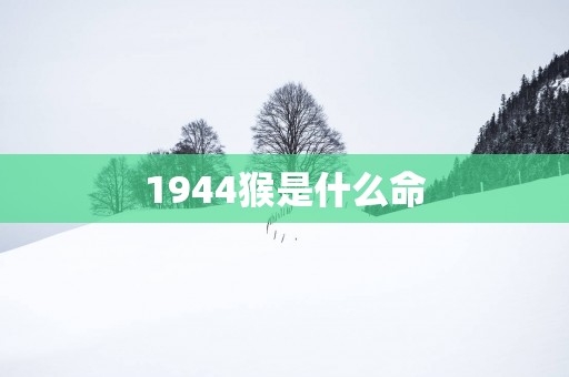 1944猴是什么命