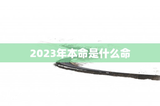 2025年本命是什么命