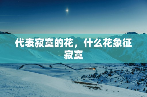 代表寂寞的花，什么花象征寂寞