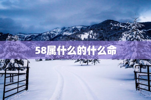 58属什么的什么命