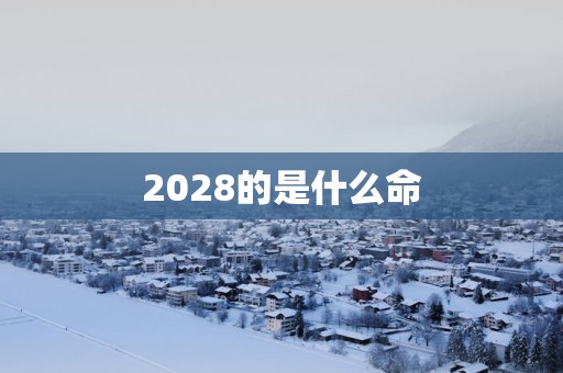 2028的是什么命
