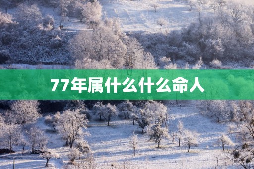 77年属什么什么命人