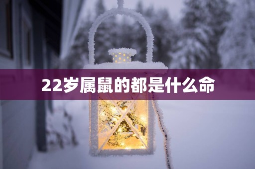 22岁属鼠的都是什么命