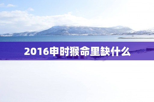 2016申时猴命里缺什么