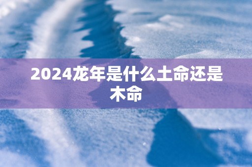 2025蛇年是什么土命还是木命
