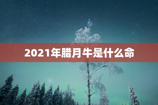 2025年腊月牛是什么命