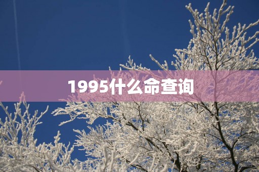 1995什么命查询
