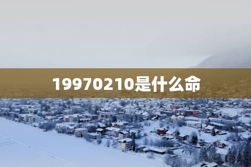 19970210是什么命