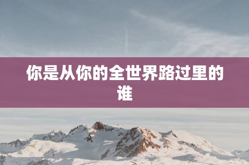 你是从你的全世界路过里的谁